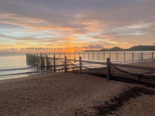 Seashells of Seaforth - 4