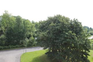 Ferienwohnung F331 für 2-4 Personen an der Ostsee - 1