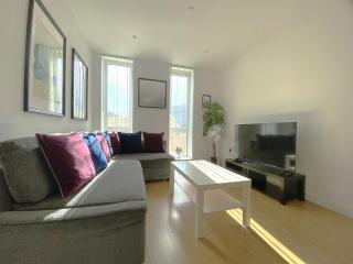 Bracknell RWH Spectacular Two Bedroom Apartment - 7