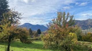 Chalet Tiny & Campagne - 8