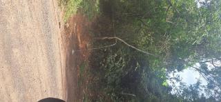 Vista do Paraíso de Igaratá - 3