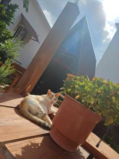 Guest House Adilaj - 9