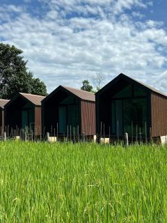 Mini Vangvieng Resort - 7