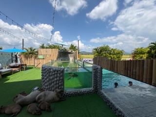 Capybara Zen Resort And Spa - 9