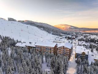 Le Chalet Lingonberry D14 Ski-in Ski-out by Aavalevi - 9