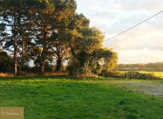 Cottage les Pins - Maison à la campagne avec jardin arboré - 8