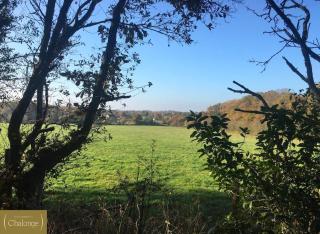 Cottage les Pins - Maison à la campagne avec jardin arboré - 4