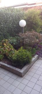 La Perla del Naviglio - 0