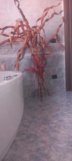 La Perla del Naviglio - 1