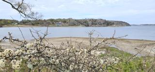 Spacious holiday home in Ellös 300 m to a beautiful sandy beach SE09113 - 6