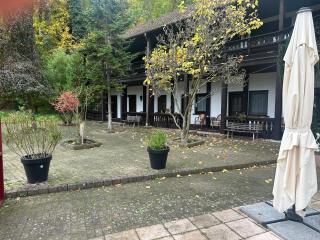 Motel Zur Festwiese - 7