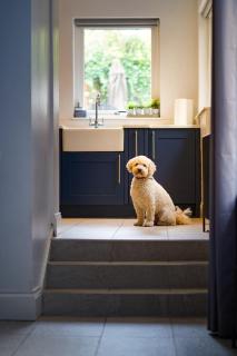 Clovelly House Relaxed Family Coastal Home - 1