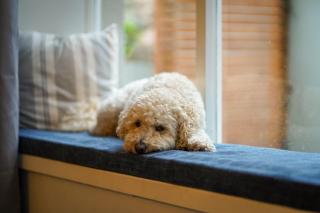 Clovelly House Relaxed Family Coastal Home - 4