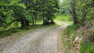 Cascina Pian dei Grilli, un paradiso nel Parco delle Capanne di Marcarolo - 1