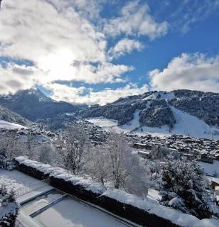 Apartment in Morzine Le Morzena - 8