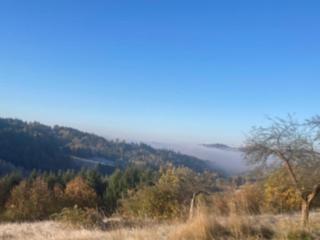 Dom w Sadzie Frydrychówka - 7