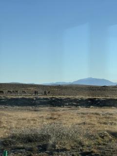 LL Properties - Aurora Lodges - 1