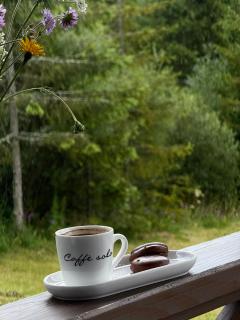 Шале Задільське - 8