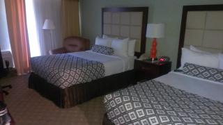 Wyndham Houston near NRG Park - Medical Center - Houston - 7