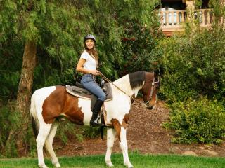 Fairmont Grand Del Mar - 1