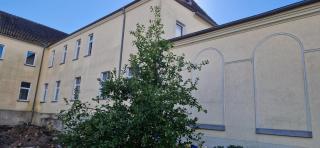 Gutshaus Kletzin mit Pool und Minigolf-Anlage - 4