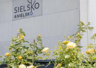 Sielsko Anielsko - 6