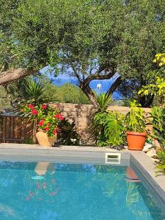 Suite Home Villa Paxos - 7