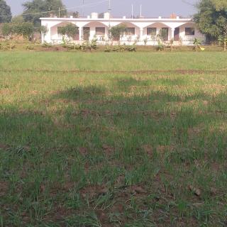 Hotel Gunj The Garden - 9