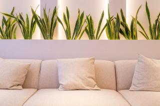 Luxury Villa Madrid 10 pax - 9