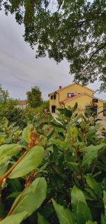 LaRossa House - 4