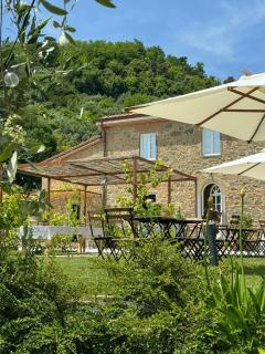 Stone Farmhouse Between Florence And Lucca - 8