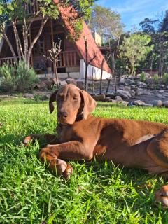 Chalé dos Campos - Vale do Capao - 8