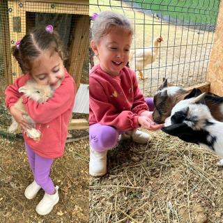 İznik Eylül Doğa House - 2