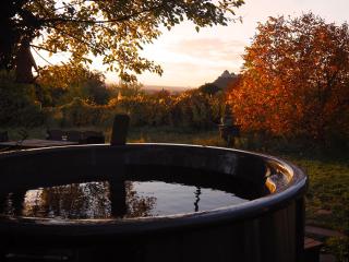 Baglyashegy Vendégház dézsafürdővel - 9