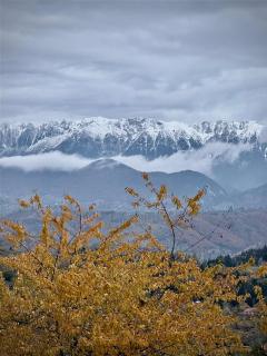 The Pines Bucegi Lodge - 8