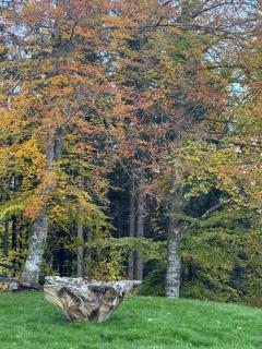 The Pines Bucegi Lodge - Bran - 2