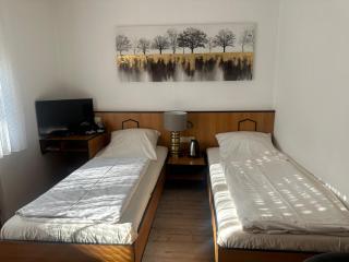 Hotel Neue Traube - 1