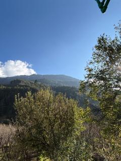 Ghumakkad Homestay - 4