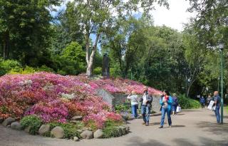 Saga Apartments Akureyri - 9