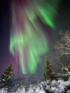 Nordic City Loft - In the Heart of Ålesund - 8