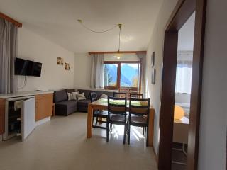 Profelt`s Apartments Uttendorf - Steinbock Lodges - 6