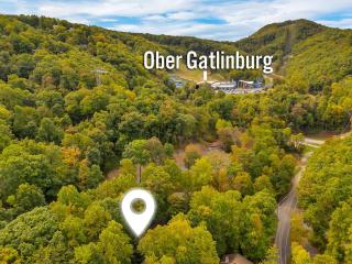 Come On Ober #367 - Chalet Village - 9