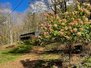 Fireplace Catskill Views Overlook Lake Cabin - 0