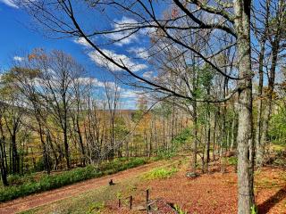 Overlook Cabin Lake Getaway Catskill Views - 7