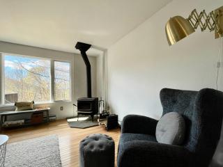 Overlook Cabin Lake Getaway Catskill Views - 2