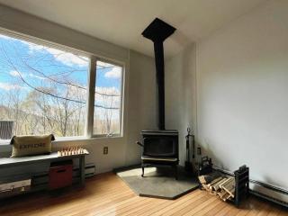 Overlook Cabin Lake Getaway Catskill Views - 1