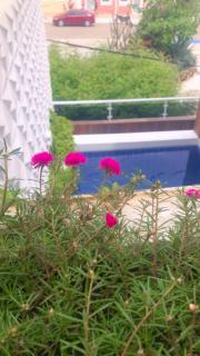 Pousada Berro do Bode - 2