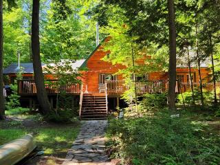 Kawagama Shoreline - 9