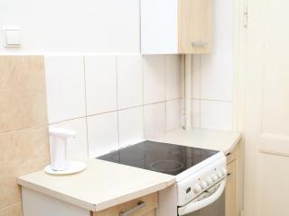 Roof View & Parking Assistance - 7