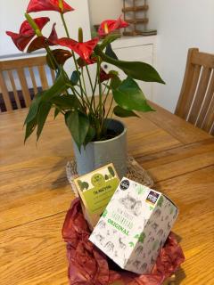 Delightful 3-bedroom Cottage, Brockenhurst - 6